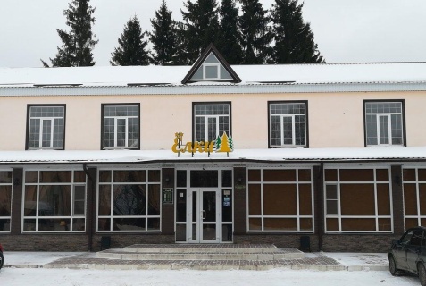 Пригородный: Отель Елки