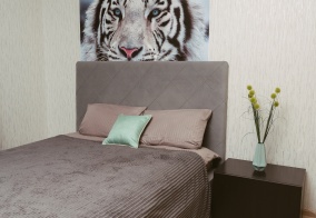 Апартаменты Апартаменты на Революции 52б в Перми