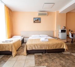 Джуниор сюит №10/4 в Золотой Лев