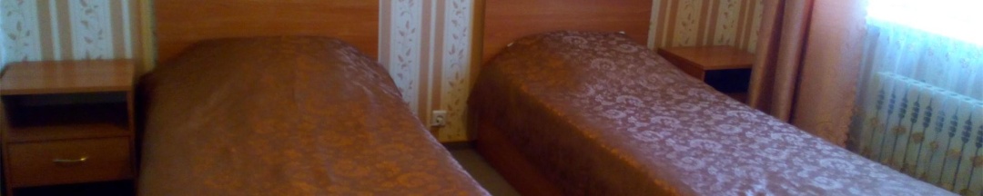 Номер стандарт с 2 односпальными кроватями (с завтраком) в Фортуна