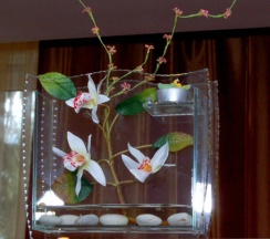 Двухкомнатный "Люкс плюс" в Новые Горки