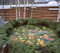 Aframe Luxe White | Банный чан на территории в Берёзовая роща