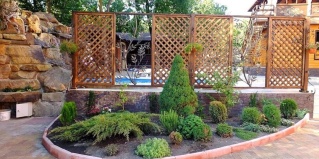 Геленджик: Гостевой дом Оазис