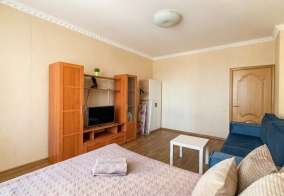 Апартаменты Апартаменты на 1й Советский пер. 16А в Щёлково