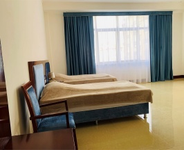 Стандарт Twin* Корпус 2 в Artis plaza hotel