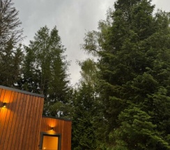 Дом №4 в Дом и Елки