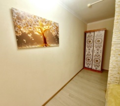 Номер 5 ***** звезд одно - двухместный с зоной отдыха Deluxe .(Двуспальная King Size кровать.Мини бассейн SPA) в Строгино-экспо
