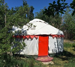 Тент в Turkestan Yurt Camp