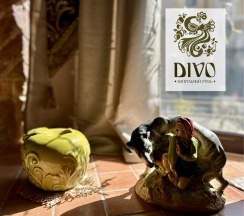 Одноместная капсула Divo в Диво