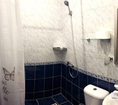 Трёхместный номер Standard в Hotel Sergiy