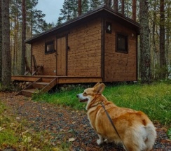 Домик на двоих (возможно заселение с питомцем) в New Camp