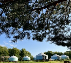 Домик у леса в Yurt resort