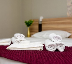 Двухместный номер Comfort двуспальная кровать в Алатау