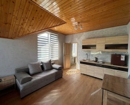 Апартаменты Студия премиум с балконом и кухней 8 в Счастливый слон