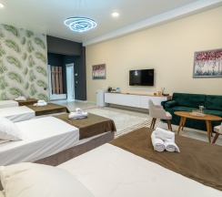 Просторный deluxe в Pullman D | M