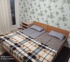 Номер Economy в Подсолнухи