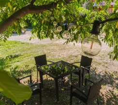 Летний номер, трехместный в УДачный