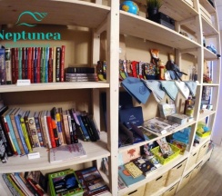 4-местный номер (семейный) в Neptunea