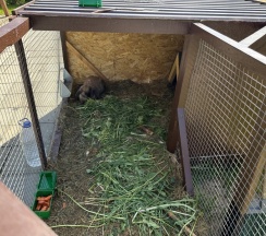 A-Frame №1 (оснащение дома, банного чана и бани см. Подробнее) в Dacha