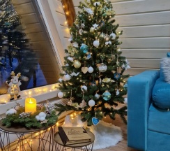 Домик № 2 (бирюзовый) в Айда relax