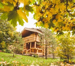 VIP-Дом в Ярославна