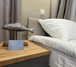Стандарт трехместный в Iterra hotel