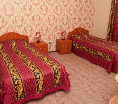 №102 в Колибри