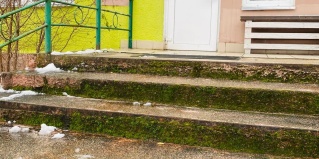 Светлый: Хостел Балтийский лес