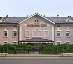 Стандарт в Саврасовская