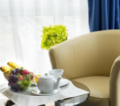 Одноместный номер Executive в Grami Hotel Sofia