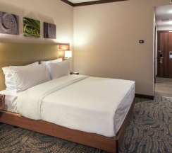 Двухместный номер Accessible двуспальная кровать в Hilton Garden Inn Astana