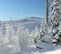 Номер «Стандарт» в Игора
