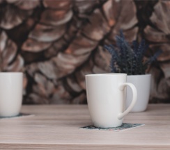 Апартаменты Standart в Чилл Хилл