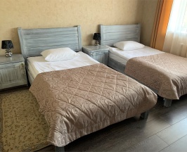 Двухместный стандарт в История