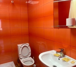 Стандартный двухместный номер в Elena