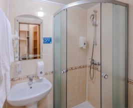 Бизнес одноместный в Амакс Сити-отель