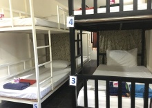 Кровать в общем номере в Golden Bee PhiPhi Hostel