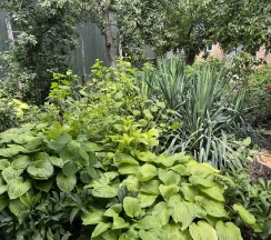 Коттедж улучшенный в Гостевой дом