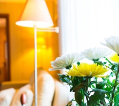 Люкс LUX в Suite