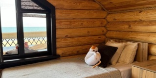 Махачкала: Коттедж Domik_05