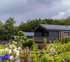 Grand в Рента36