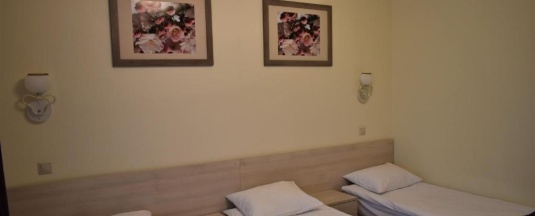 Стандарт 3-местный в Акварели.rus