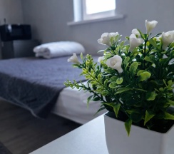 Апартаменты c 1 комнатой в Hippy House