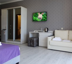 Номер Superior с балконом в Слон