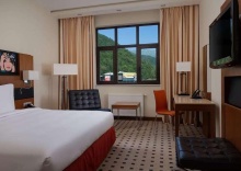 с. Эстосадок: Отель Radisson Hotel Rosa Khutor