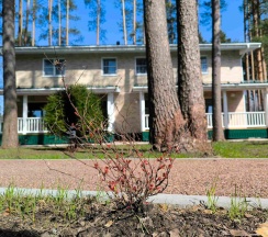 Коттедж 2 в Дача Сосновка