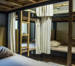 Кровать в общем номере в Bunks Hostel