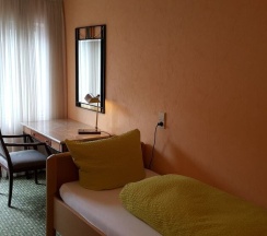 Одноместный номер Standard с балконом в Hotel Moselkern