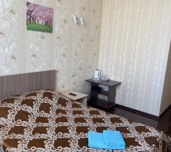 Номер стандарт эконом с 1 двуспальной кроватью в Залесный