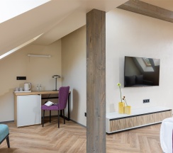 Стандарт Бизнес в Berry Hotel&Spa 4*